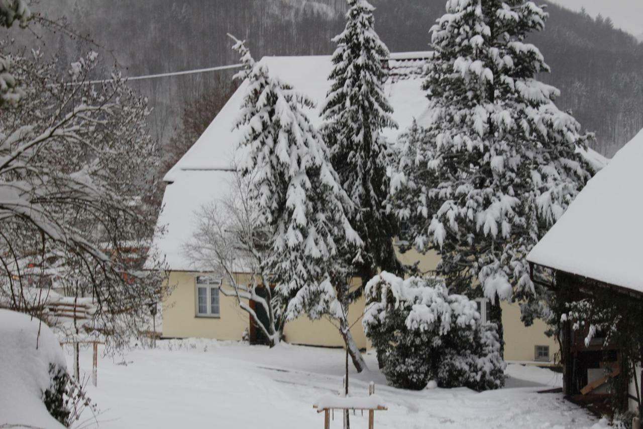 Ferienwohnung In Herrlicher Lage Bad Urach Zewnętrze zdjęcie